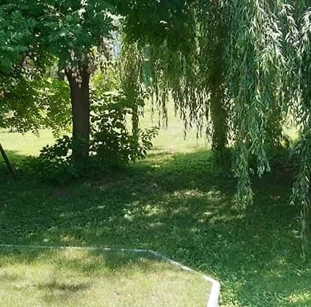 Fuzfa Apartmanhaz Tamasi Exterior photo